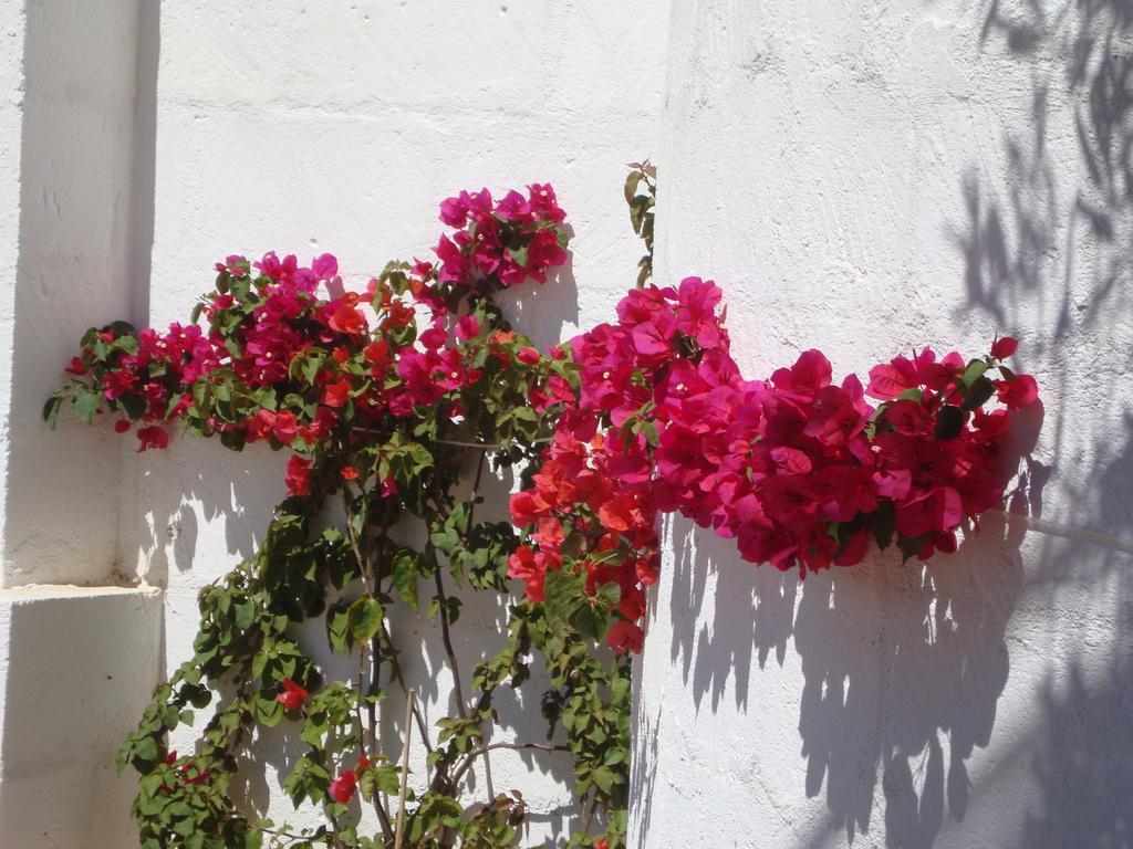 Masseria Bianca Di Puglia Monopoli Oda fotoğraf